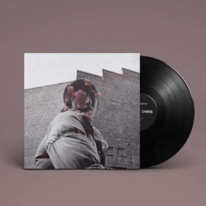 Aldous harding Warm Chris LP