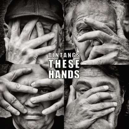 Bintangs These Hands LP