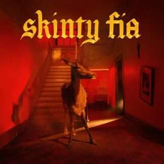 Fontaines D.C. Skinty Fia CD