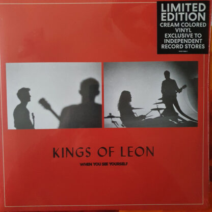 Kings Of Leon ‎ When You See Yourself LP