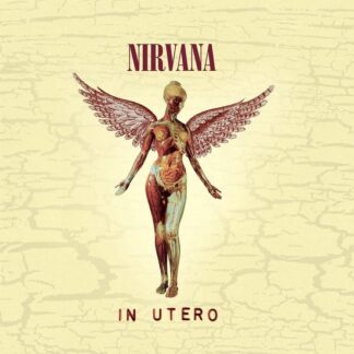 Nirvana In Utero 20th Anniversary Edition