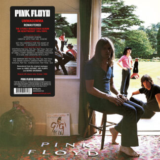 Pink Floyd ‎– Ummagumma LP