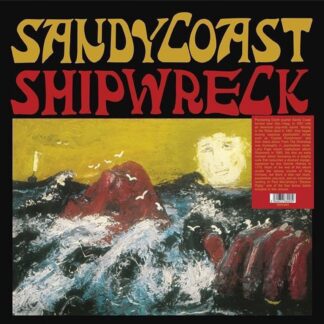 Sandy Coast Shipwreck