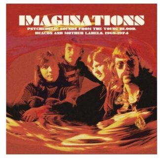 Various Imaginations LP