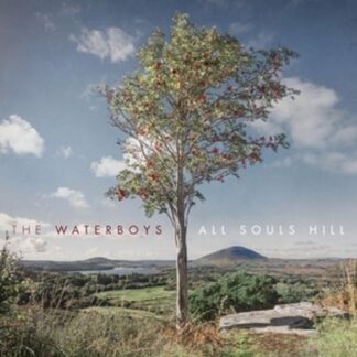 Waterboys All Souls Hill CD