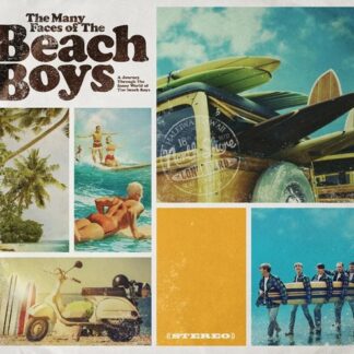 Many Faces of the Beach Boys