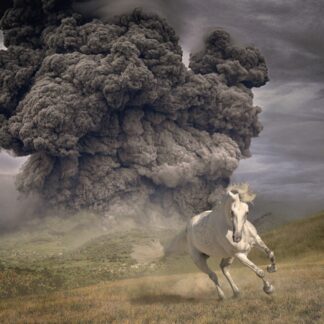 The White Buffalo Year of the Dark Horse