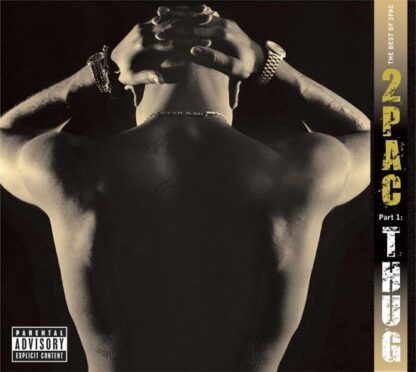 2Pac The Best Of 2pac LP