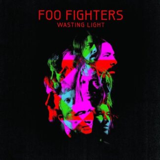 Foo Fighters Wasting Light LP