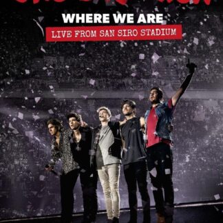 One Direction Where We Are Live From San Siro Stadium (DVD)