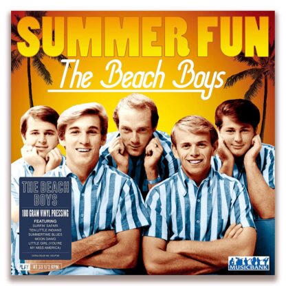 Beach Boys Rise Of The Surf Moment (LP)