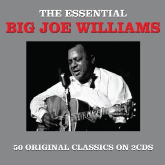 Big Joe Williams Essentials (CD)