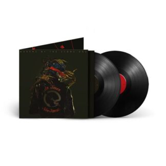 Queens Of The Stone Age In Times New Roman (2LP)