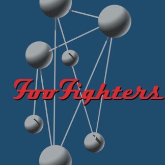 Foo Fighters Colour And The Shape (LP)