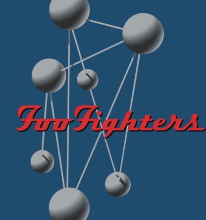 Foo Fighters Colour And The Shape (LP)