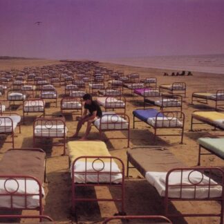 Pink Floyd A Momentary Lapse Of Reason CD