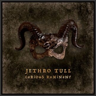 Jethro Tull Curious Ruminant (CD)