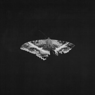 Kendrick Lamar To Pimp a Butterfly [ grey marble vinyl ]