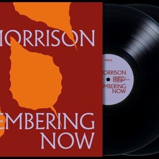 Van morrison remembering now (2 lp)