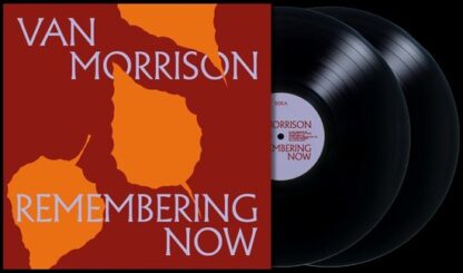 Van morrison remembering now (2 lp)