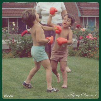 Elbow flying dream 1 (cd)