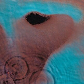 Pink floyd meddle cd