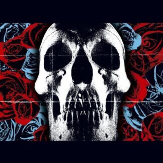Deftones vinyl
