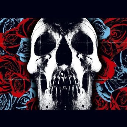 Deftones vinyl