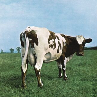 Pink floyd atom heart mother lp