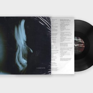 Tom odell a wonderful life (lp)