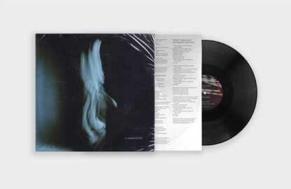 Tom odell a wonderful life (lp)