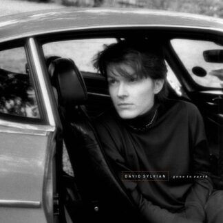 David sylvian gone to earth (2 lp)