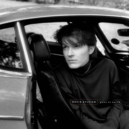 David sylvian gone to earth (2 lp)