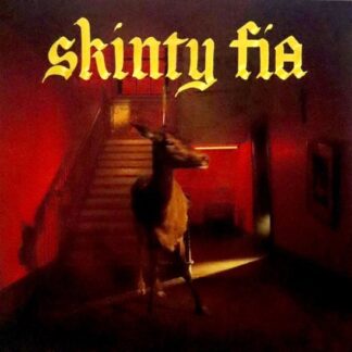 Fontaines d.c. skinty fia (lp)