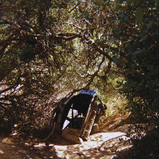 Ty Segall - Possession CD