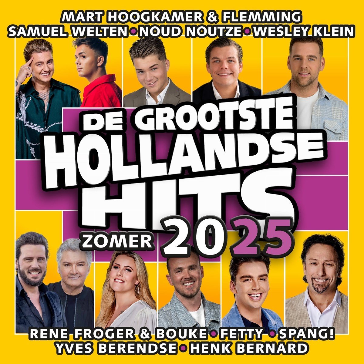 Various Artists - Hollandse Hits Zomer 2025 (CD)